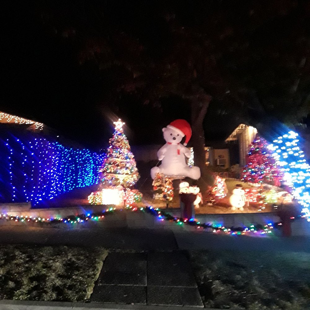 Christmas Tree Lane - Christmas Trees Near Me - Altadena, California Christmas Tree Lane - Christmas Trees Near Me - Altadena, California