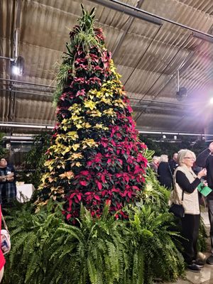 MSU Plant and Scoil Science