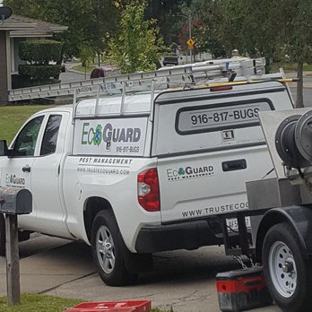EcoGuard Pest Management - Pest Control Near Me - Folsom, California EcoGuard Pest Management - Pest Control Near Me - Folsom, California