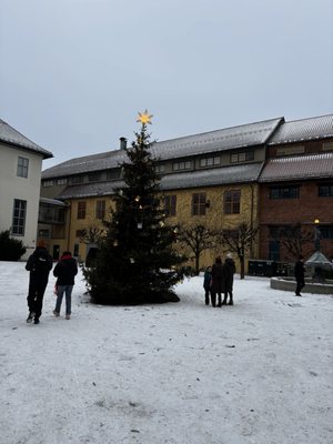 The Norwegian Museum of Cultural History by null