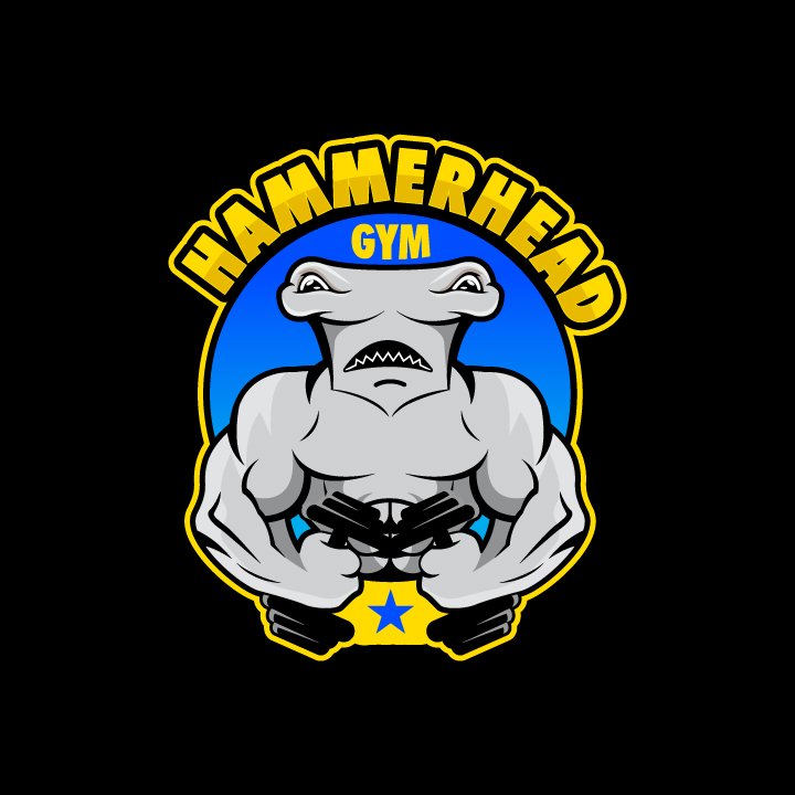 HAMMERHEAD GYM 1013 Cape Coral Pkwy E, Cape Coral, Florida Gyms