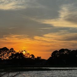 New Dawn Boat Tours