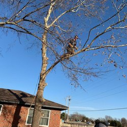 Affordable Tree Service