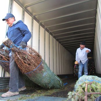 THE BEST 10 Nurseries & Gardening near Spring, TX 77379 - Last Updated