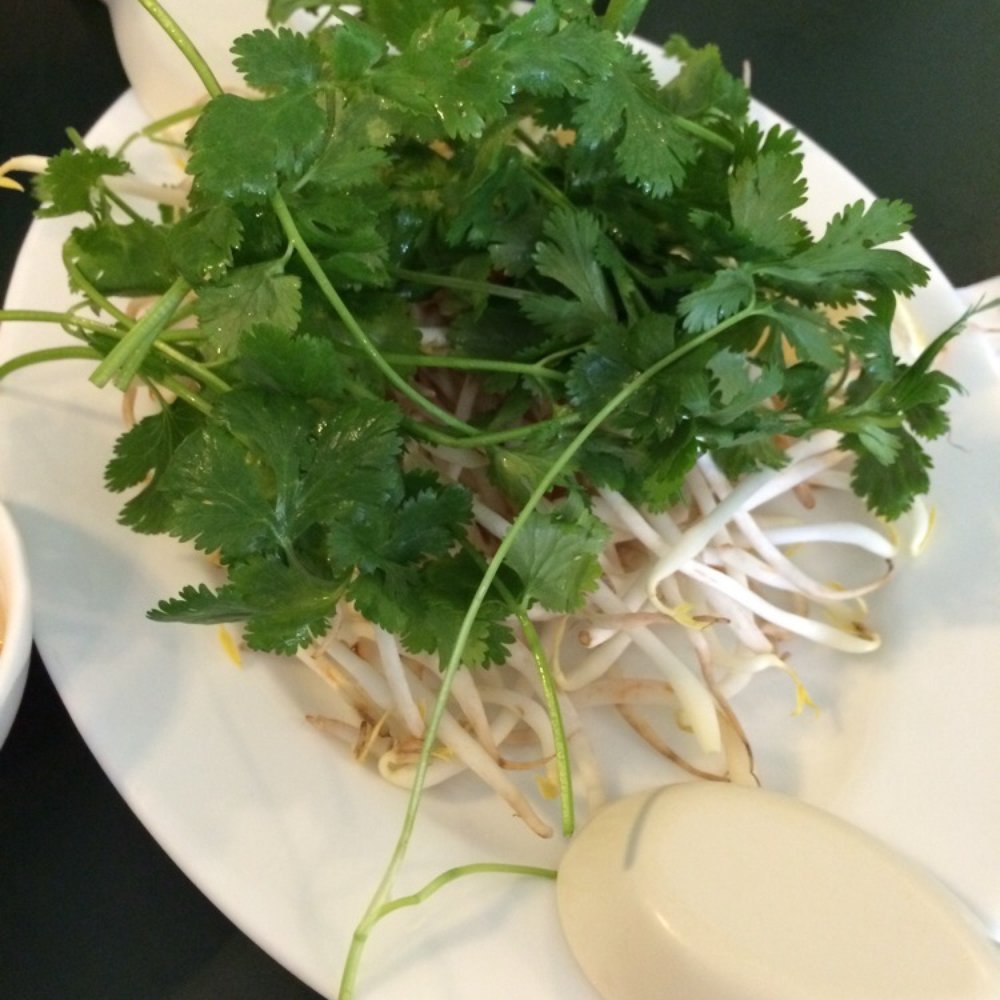 Vietnamese Asian Restaurant - Where is the culantro and basil???? - Vietnamese Near Me - Omaha, Nebraska Vietnamese Asian Restaurant - Where is the culantro and basil???? - Vietnamese Near Me - Omaha, Nebraska