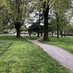 Killarney Park - Walkway