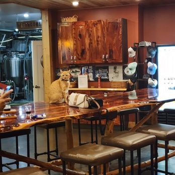 Ormond Brewing Company - Breweries Near Me - Ormond Beach, Florida
