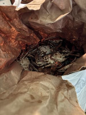 Shag's Crab & Seafood by null