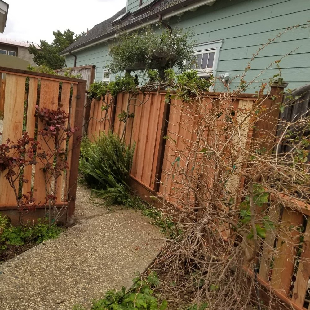 CENTRAL CAL LANDSCAPING Updated May 2024 38 Photos Watsonville, California Landscaping
