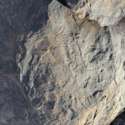 Anasazi Valley Trail