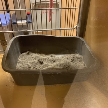 PetSmart - Pet Stores Near Me - Canoga Park, California