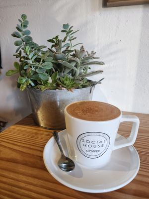 SOCIAL HOUSE COFFEE by null