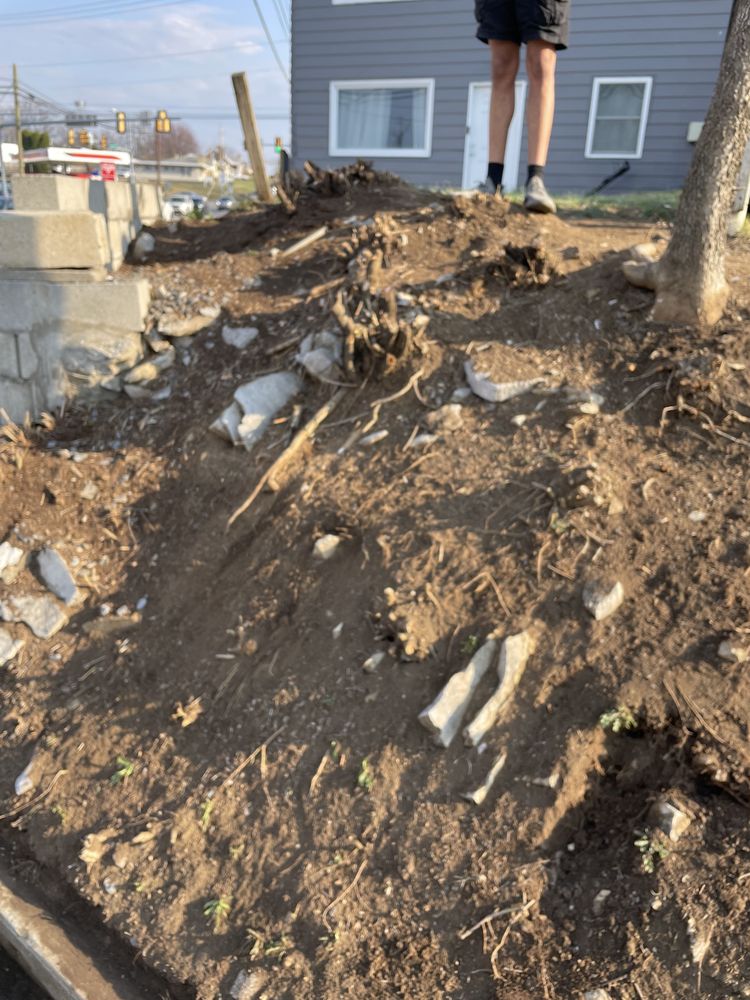 Hbg Clutch - tree service in Harrisburg, PA