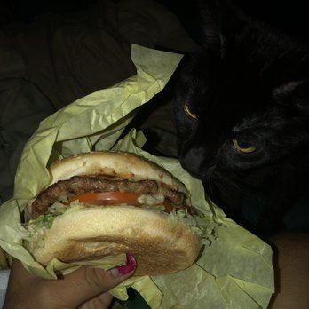 Michael's Burger - My cat Julie loves your Bacon Cheese Burgers as well. - Burgers Near Me - Canoga Park, California Michael's Burger - My cat Julie loves your Bacon Cheese Burgers as well. - Burgers Near Me - Canoga Park, California