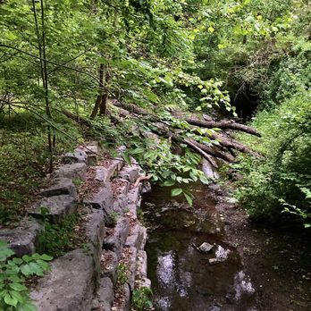 Glen Providence Park - Glen Providence Park -- late May - Parks Near Me - Media, Pennsylvania Glen Providence Park - Glen Providence Park -- late May - Parks Near Me - Media, Pennsylvania