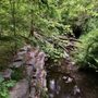 Photo of Glen Providence Park
