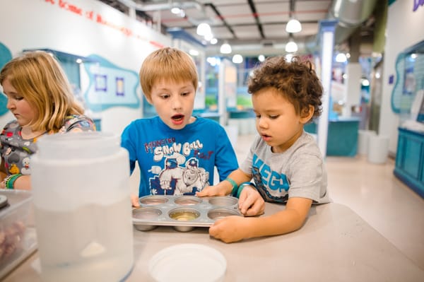 Mississippi Children's Museum by null