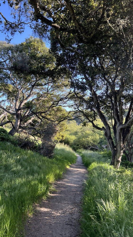 FROG POND WETLAND PRESERVE Updated September 2024 88 Photos & 15