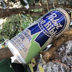 US Liquor And Market - Overpriced, overhyped Pabst stronger seltzer(4.59)