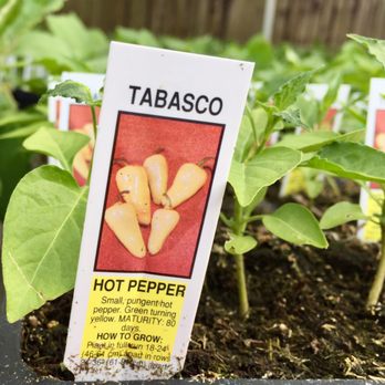 Girouard's Nursery and Greenhouse - Plants for people with a spicy way of life. Aka moi - Nurseries & Gardening Near Me - Broussard, Louisiana Girouard's Nursery and Greenhouse - Plants for people with a spicy way of life. Aka moi - Nurseries & Gardening Near Me - Broussard, Louisiana