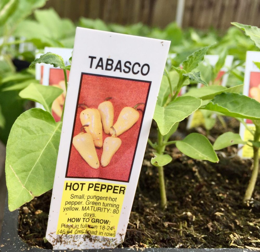 GIROUARD’S NURSERY AND GREENHOUSE Updated September 2024 16 Photos