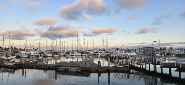 Mitch's Seafood by null
