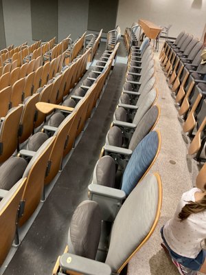 Massachusetts Institute of Technology by null