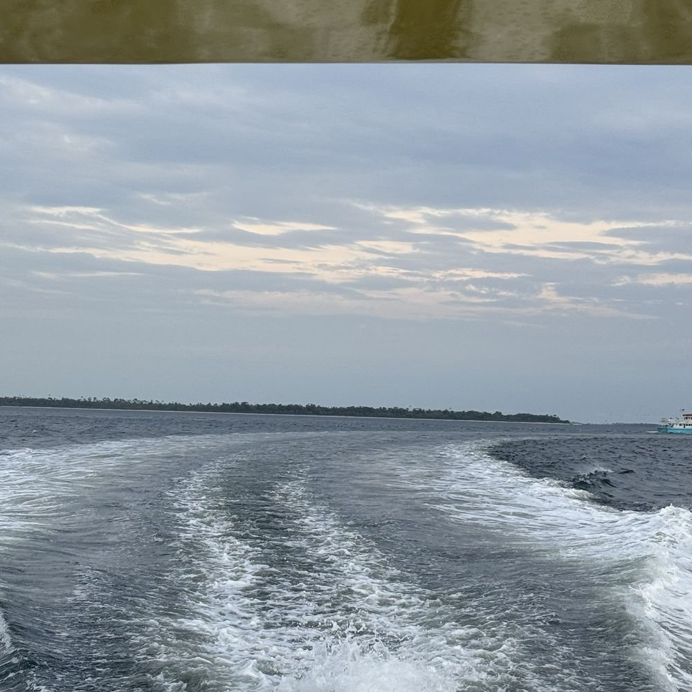 Sea Screamer - Dolphins! - Boat Charters Near Me - Panama City, Florida Sea Screamer - Dolphins! - Boat Charters Near Me - Panama City, Florida
