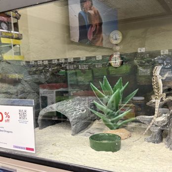 Petco - Pet Stores Near Me - Santa Ana, California Petco - Pet Stores Near Me - Santa Ana, California