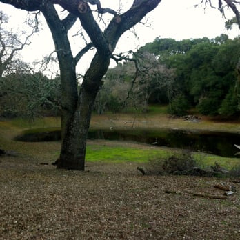 Picchetti Ranch Open Space Preserve - Not much pond remaining. - Parks Near Me - Cupertino, California Picchetti Ranch Open Space Preserve - Not much pond remaining. - Parks Near Me - Cupertino, California