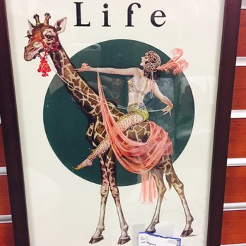 Turn Style Consignment - Love this. Reminded me of my friend Linnea. - Used, Vintage & Consignment Near Me - Tempe, Arizona