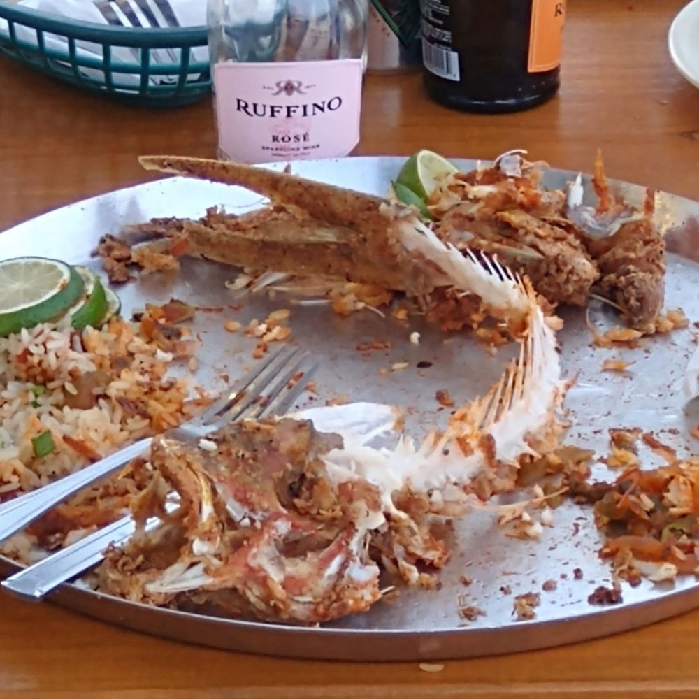 Flying Fish - We devoured our fried snapper to bones. - Seafood Near Me - Coppell, Texas