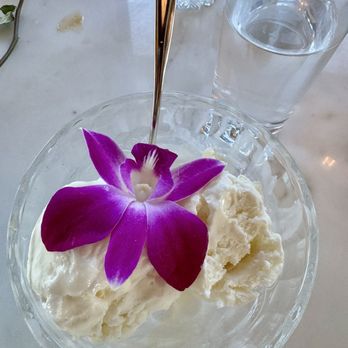 Port Marina - Coconut Gelato - Cocktail Bars Near Me - Cape May, New Jersey Port Marina - Coconut Gelato - Cocktail Bars Near Me - Cape May, New Jersey