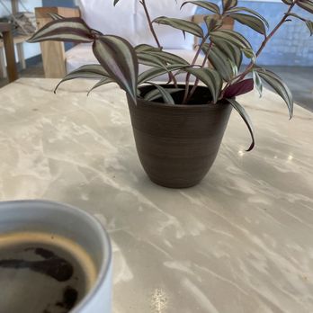 Candor Coffee - Coffee & Tea Near Me - Renton, Washington