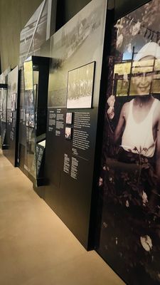 Canadian Museum for Human Rights by null