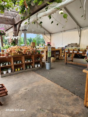 Wards Berry Farm by null