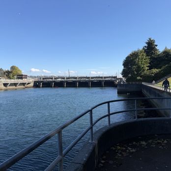 Ballard Locks Fish Ladder - Landmarks & Historical Buildings Near Me - Seattle, Washington