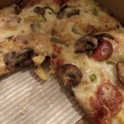 Domino's Pizza - This is the greasy mess we received.