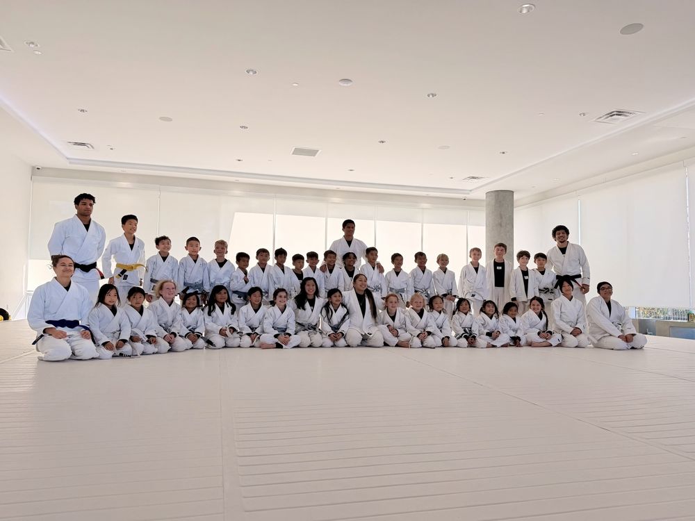 Art of Jiu Jitsu Logo