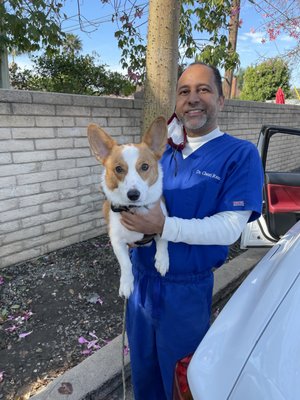 Culver Palms Animal Hospital 45 Photos 149 Reviews Veterinarians 11511 Washington Blvd Los Angeles Ca United States Phone Number