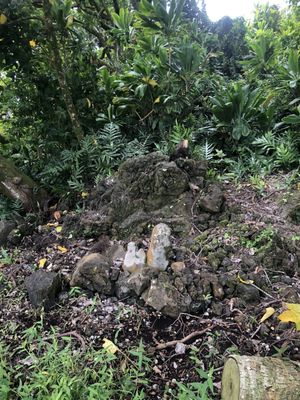 Kahanu Garden, National Tropical Botanical Garden by null
