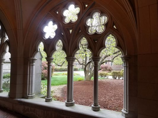 Trinity College by null