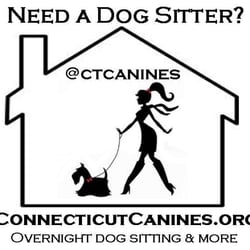 Connecticut Canines