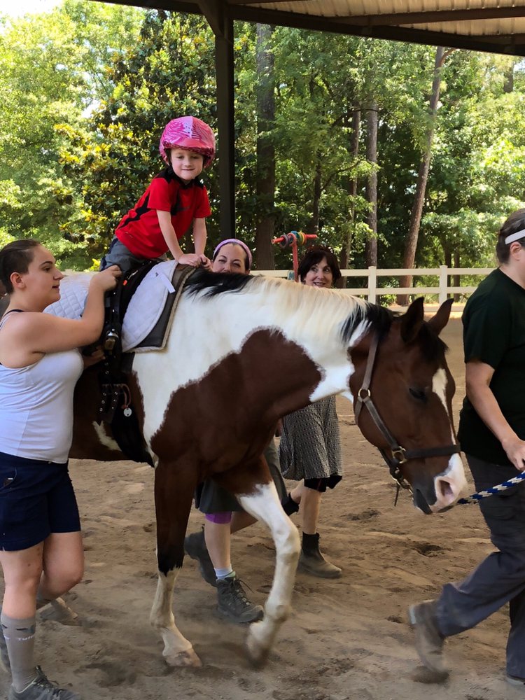 My Heroes llc - equestrian in Atlanta, GA