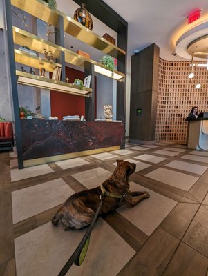 Thompson Atlanta – Buckhead, by Hyatt by null