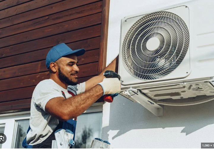 Slide of Jenalia Mechanical