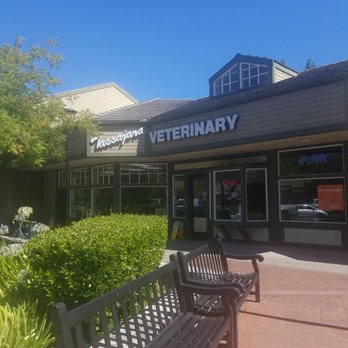Tassajara Veterinary Clinic - Veterinarians Near Me - Danville, California Tassajara Veterinary Clinic - Veterinarians Near Me - Danville, California