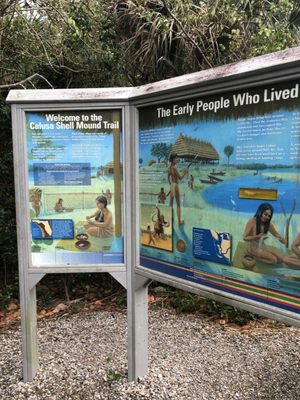 J.N. "Ding" Darling National Wildlife Refuge Visitor and Education Center by null