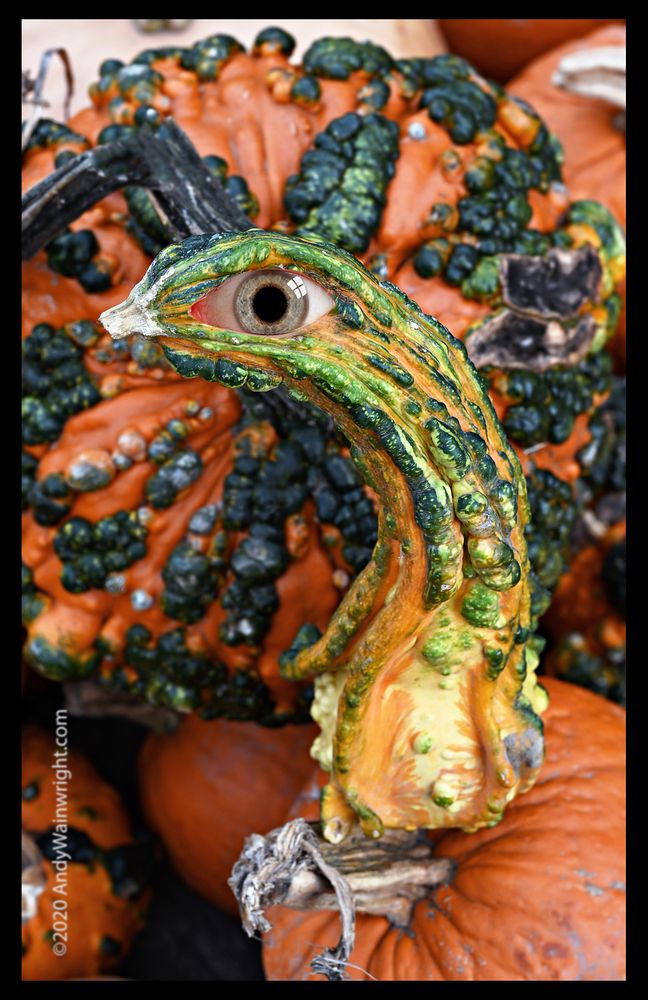 RED HOOK VILLAGE FARMERS MARKET 7467 S Broadway Prince St, Red Hook