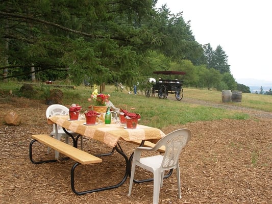 Winter's Hill Estate by null